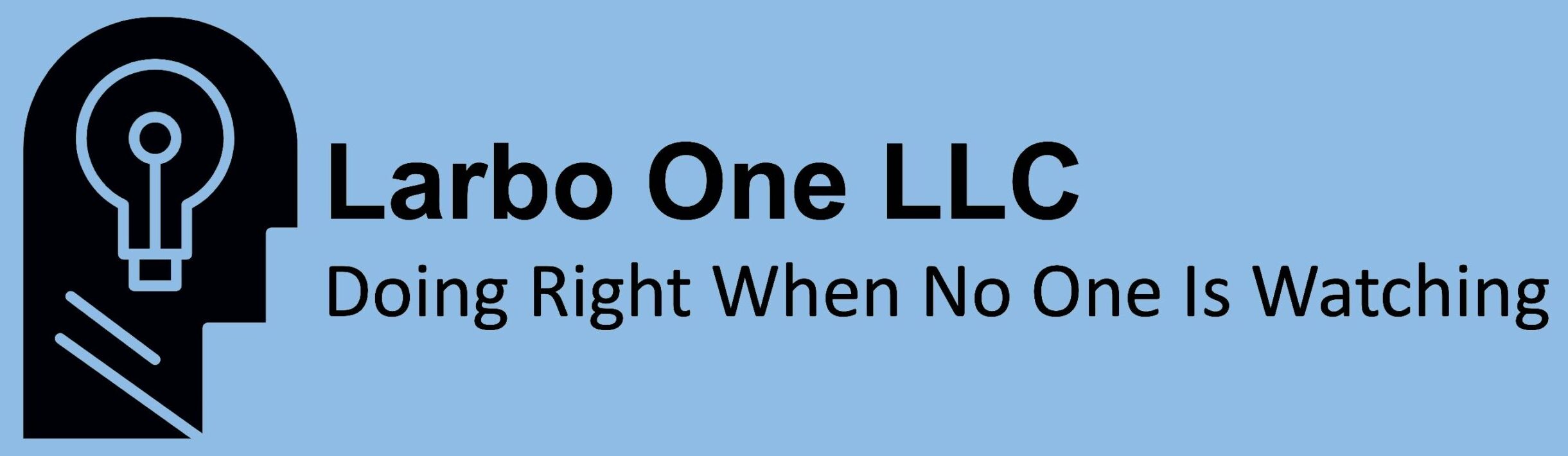 Home of Decisiontron, Castletronix Automation, and Stevie’s Fix-It
